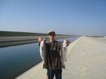 stripers 002.jpg